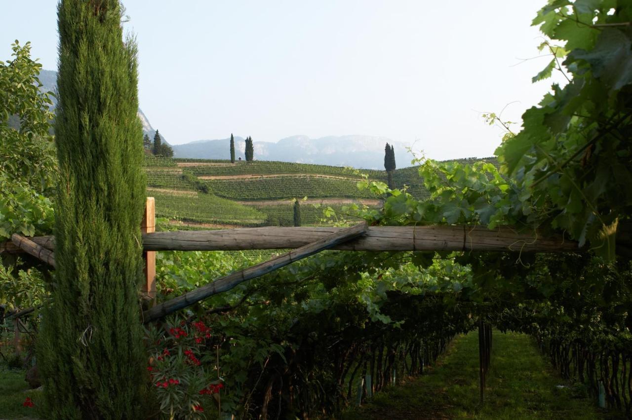 Biobauernhof St. Quirinus Apartment Caldaro Exterior photo
